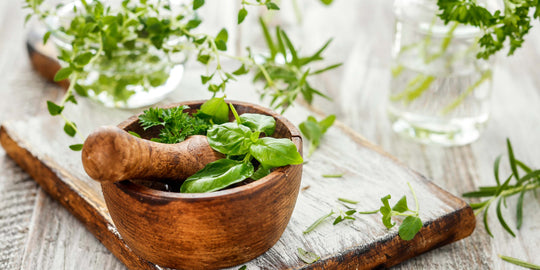 Spice Up Your Life: Herbs That Support Metabolism Health