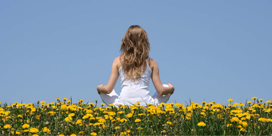 How Your Gut Microbiome Affects Your Stress Resilience (Yes, Really)