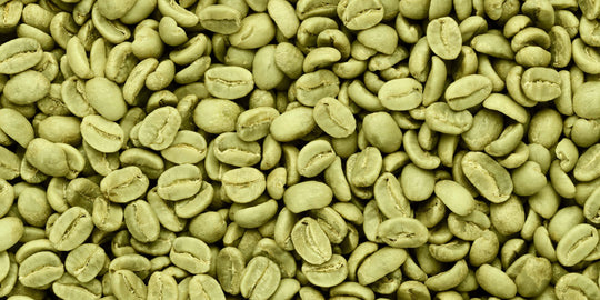 Brewing Up a Storm: The Perks of Green Coffee Beans for Your Health, Fitness, and Weight Goals