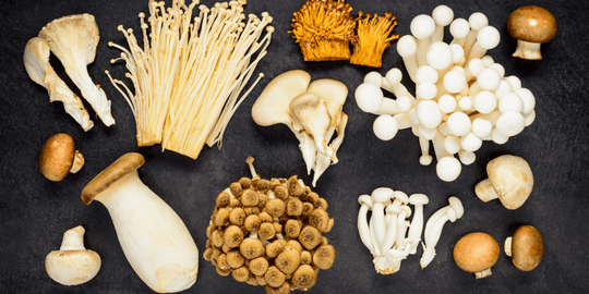 Are mushrooms worth the hype?