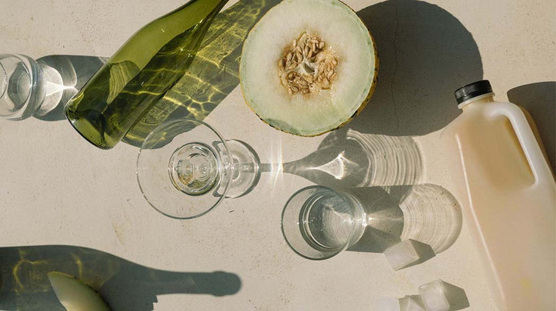 What You’ll Notice First: The Little Things That Start Happening When You Support Your Gut Health