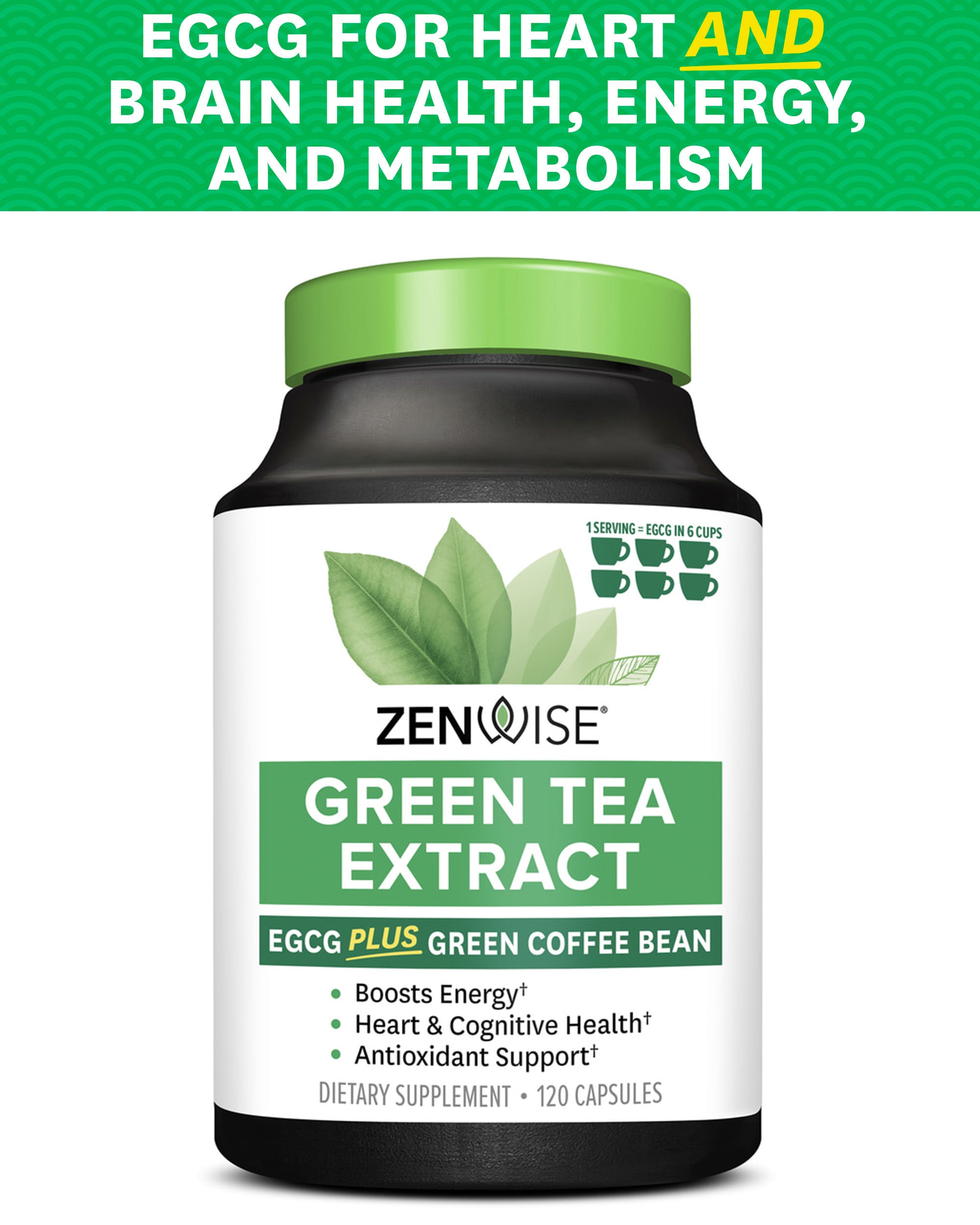 Green tea extract for cognitive function