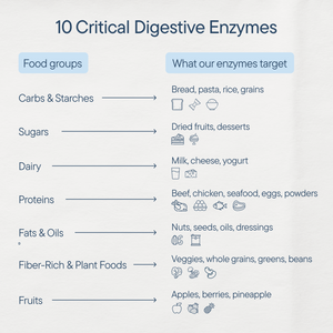 Digestive Enzyme Mints
