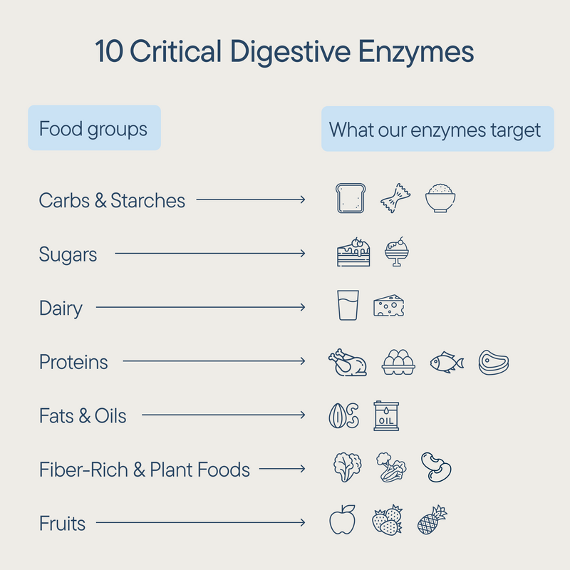 Digestive Enzyme Mints.